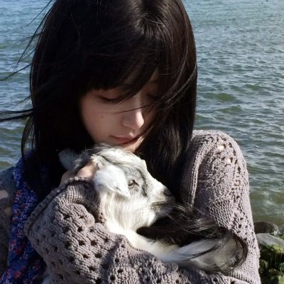 飞驰吧！少年第二季
