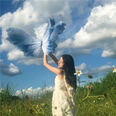 蜘蛛王国